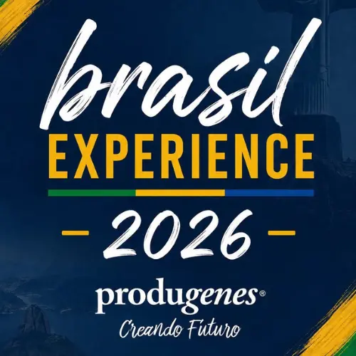 Experience Brasil 1